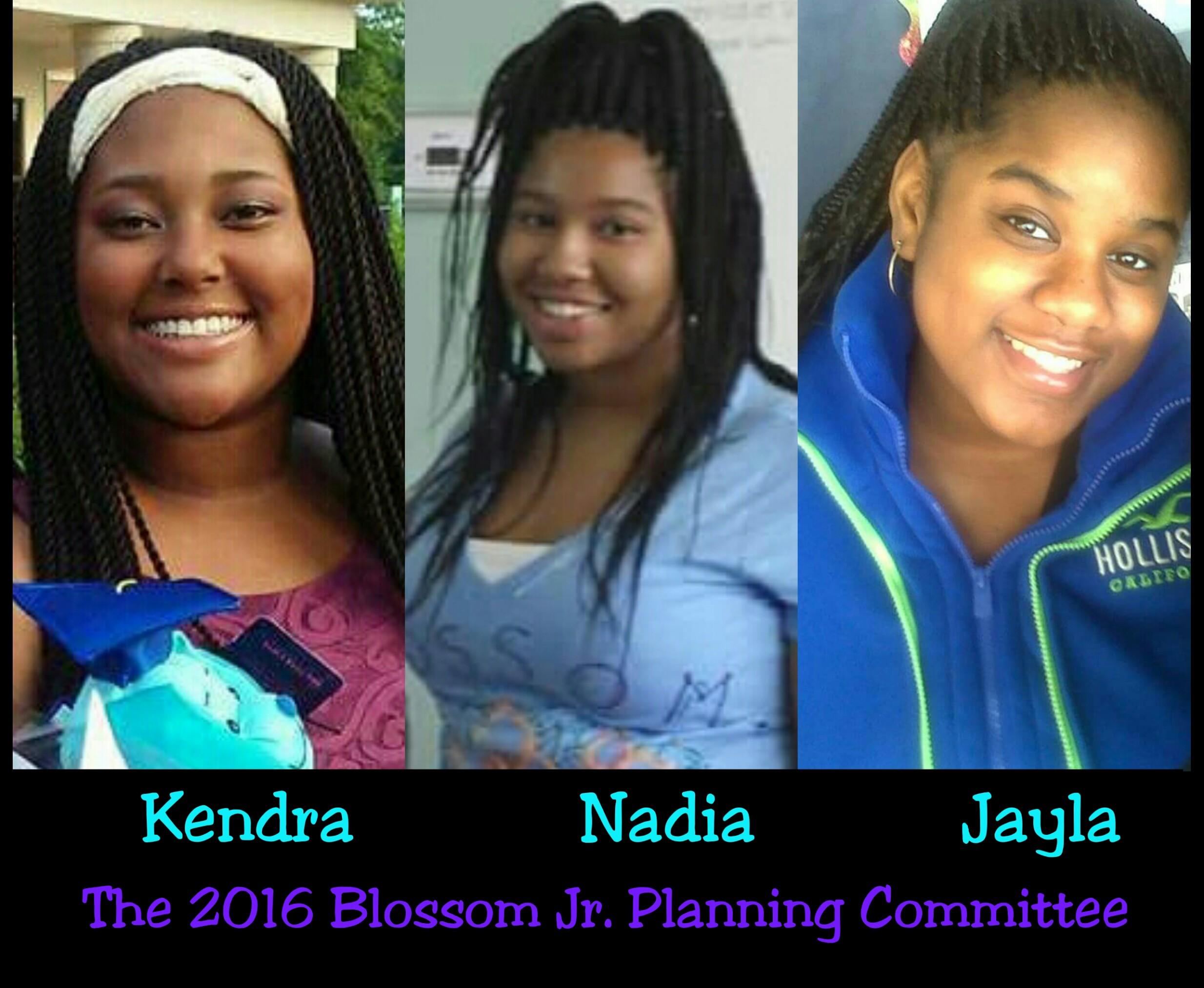 Mirror Mode Blossom2016